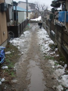 自宅横庭歩道